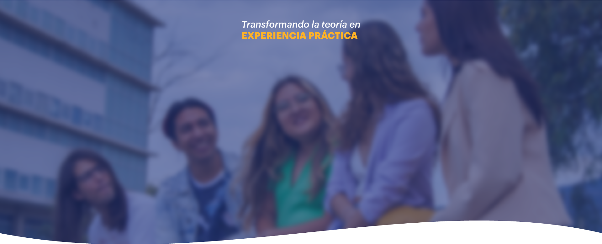 Descripción de la imagen